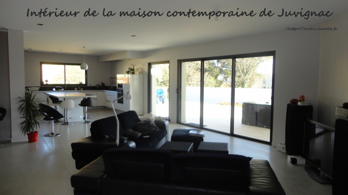 Maison contemporaine : image_projet_mini_66375