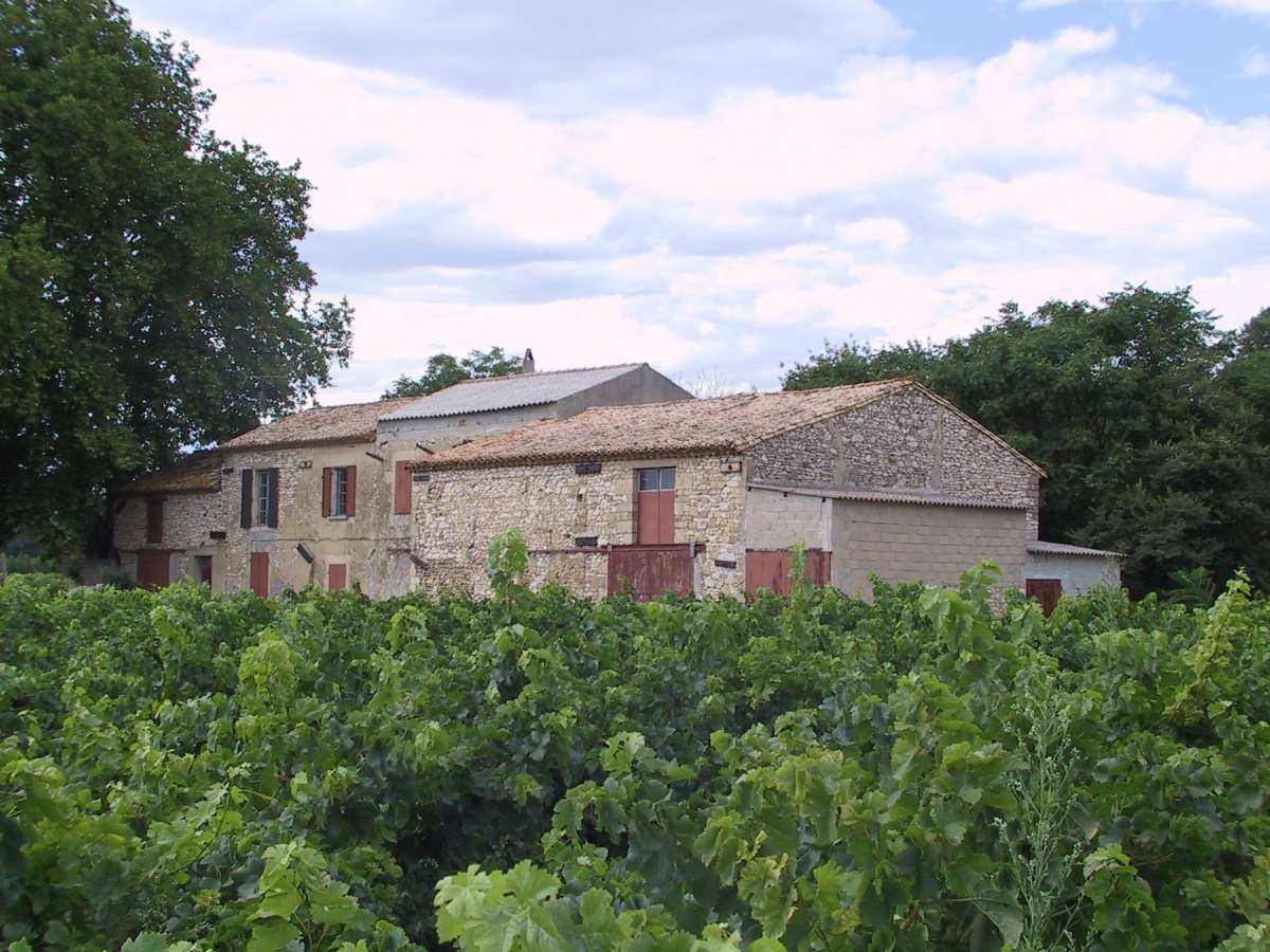 RENOVATION D'UNE MAISON VIGNERONNE : image_projet_mini_98858